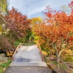 Wooden bridge crossing a stream surrounded by vibrant red and orange autumn trees.