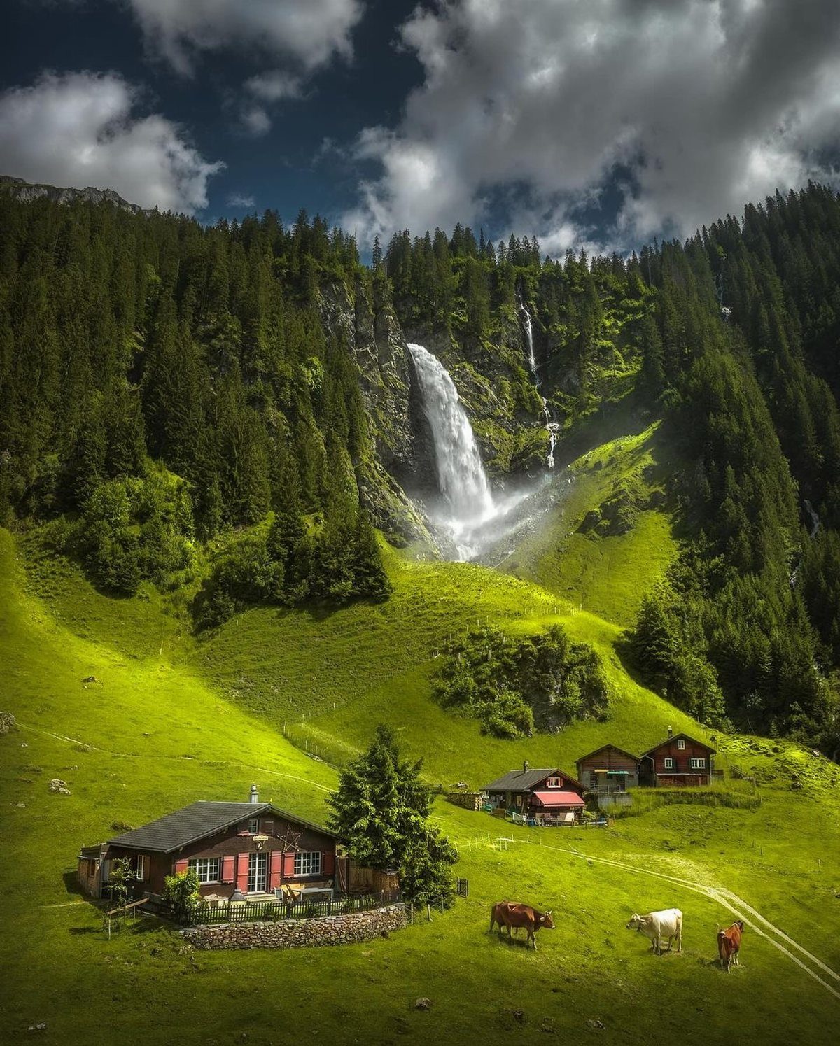 Alpine valley with a waterfall, wooden chalets, and cows on green grass.